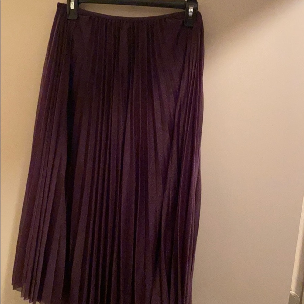 Pleated tulle skirt